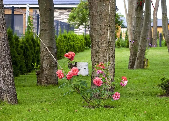 Гостьовий будинок Sakalo 44